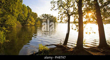 Glabbacher Bruch Krickenbeck, lacs, Nettetal Banque D'Images