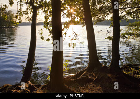 Glabbacher Bruch Krickenbeck, lacs, Nettetal Banque D'Images