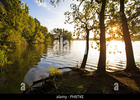 Glabbacher Bruch Krickenbeck, lacs, Nettetal Banque D'Images