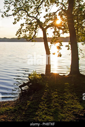 Glabbacher Bruch Krickenbeck, lacs, Nettetal Banque D'Images