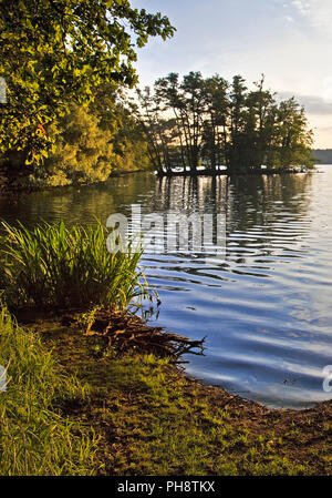 Glabbacher Bruch Krickenbeck, lacs, Nettetal Banque D'Images