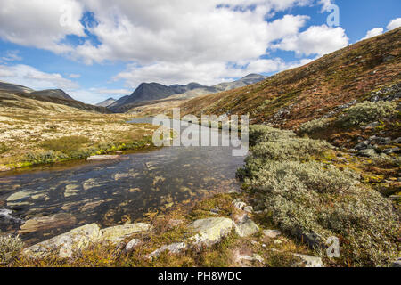 Parc national de Rondane Norvège Banque D'Images