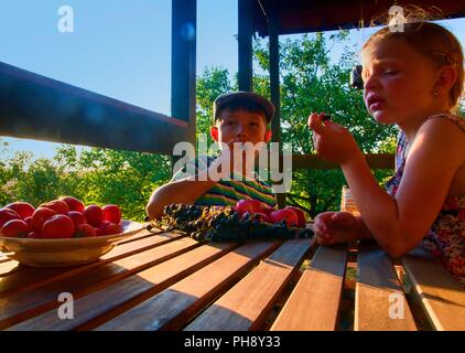 Petite fille et garçon mangent des fruits. Les pommes, les raisins et les tomates sur une table. La petite fille et garçon sont assis à une table sur une terrasse et manger des pommes et raisins. Image romantique et rêveuse. L'automne et l'enfance heureuse concept Banque D'Images