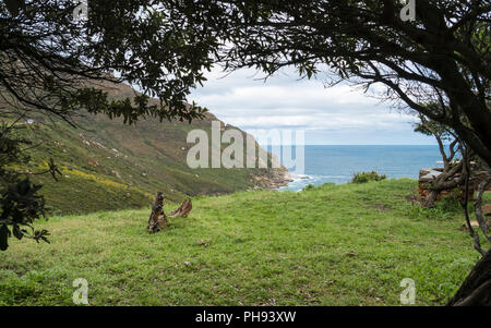 Sur la mer de Hout Bay, une banlieue du Cap, Afrique du Sud Banque D'Images