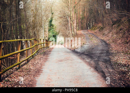 Fourchette dans le chemin en forêt près de Weilburg, Allemagne Banque D'Images