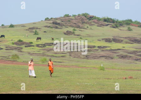 Goa, Inde - Juillet 8, 2018 - Deux prêtres marcher à travers les collines hindouiste à Goa en passant des vaches sacrées Banque D'Images