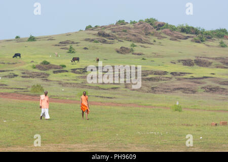 Goa, Inde - Juillet 8, 2018 - Deux prêtres marcher à travers les collines hindouiste à Goa en passant des vaches sacrées Banque D'Images