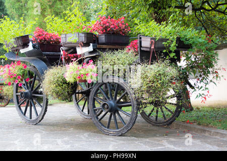 Transport rural rustique en bois ancien avec des fleurs d'été Banque D'Images