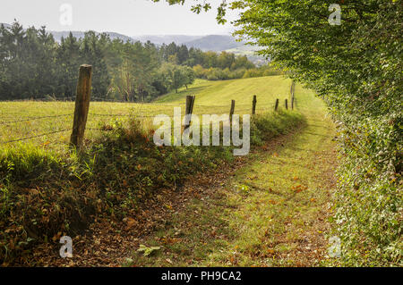 Randonnées sentier à proximité Michelbach an der Bilz, Allemagne Banque D'Images