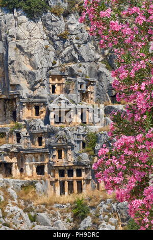 Des tombes Lyciennes antique et la floraison des lauriers-roses flowes, Myra (Demre), Turquie Banque D'Images