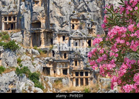 Des tombes Lyciennes antique et la floraison des lauriers-roses flowes, Myra (Demre), Turquie Banque D'Images