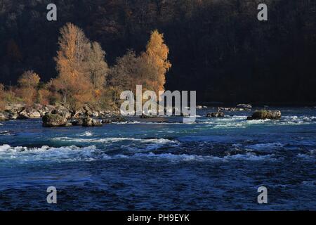 Scène d'automne au bord du Rhin à Schaffhouse Banque D'Images