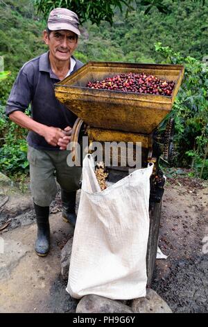 Machine à pâte- de la récolte du café à la frontière de l'Equateur - ZUNGA -San Ignacio- département de Cajamarca au Pérou. Banque D'Images