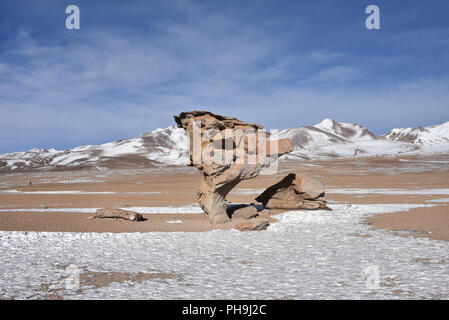 L'Arbol de Piedra (arbre de Pierre), dans le désert de Siloli, Sud Lipez Province, Uyuni, Bolivie. Banque D'Images