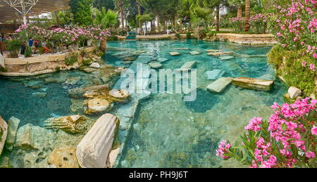 Piscine Cléopâtre, fleurs, ville antique de Hiérapolis, Pamukkale, Turquie Banque D'Images