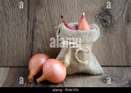 Les oignons (bulbes secs à la plantation dans un petit sac sur fond de bois Banque D'Images