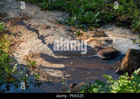 Une vue de face de l'écume de mousse flottant sur le haut de l'eau dans une rivière qui coule Banque D'Images