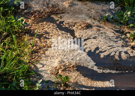 La vue latérale d'écume de mousse flottant sur le dessus de l'eau au fond d'une rivière qui coule Banque D'Images