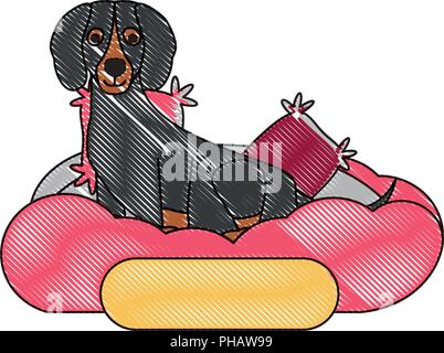 Cute dachshund dog au lit sur fond blanc, vector illustration Illustration de Vecteur