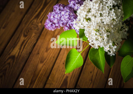 La nature morte avec un bouquet de lilas Banque D'Images