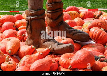 Erfurt, Allemagne. Août 31, 2018. Les chaussures en bois d'une citrouille figure dans le stand egapark Erfurt entre beaucoup de citrouilles. Du 02 septembre au 31 octobre 2018 les œuvres de citrouille peut être vu sur le Philippswiese. Cette année, plus de 20 000 citrouilles seront utilisés pour créer des chiffres sur le thème de "volants". Credit : Jens Kalaene Zentralbild-/dpa/dpa/Alamy Live News Banque D'Images