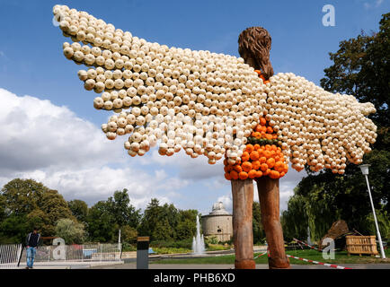 Erfurt, Allemagne. Août 31, 2018. Une figure d'Ikarus est composé de centaines de citrouilles dans egapark Erfurt. Du 02 septembre au 31 octobre 2018 les œuvres de citrouille peut être vu sur le Philippswiese. Cette année, plus de 20 000 citrouilles seront utilisés pour créer des chiffres sur le thème de "volants". Credit : Jens Kalaene Zentralbild-/dpa/dpa/Alamy Live News Banque D'Images