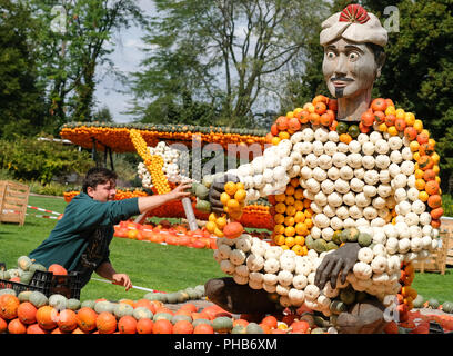 Erfurt, Allemagne. Août 31, 2018. Fabian Ühle décore le 'Tapis volant' dans l'egapark Erfurt, qui est composé de centaines de citrouilles. Du 02 septembre au 31 octobre 2018 les œuvres de citrouille peut être vu sur le Philippswiese. Cette année, plus de 20 000 citrouilles seront utilisés pour créer des chiffres sur le thème de "volants". Credit : Jens Kalaene Zentralbild-/dpa/dpa/Alamy Live News Banque D'Images