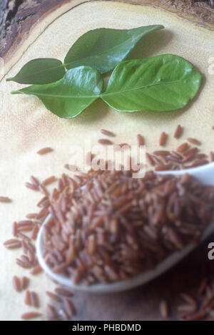 Les feuilles de combava (épice pour curry thaïlandais) Banque D'Images