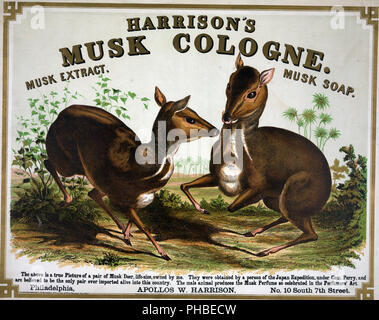 Harrison's musk cologne. Philadelphia [le cerf porte-musc ca. 1857 Banque D'Images