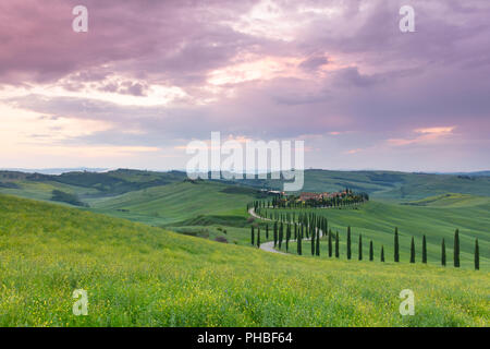 Coucher de soleil sur l'Agriturismo Baccoleno et sentier sinueux avec des cyprès, Asciano en Toscane, Italie, Europe Banque D'Images