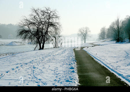 Piste cyclable le long de l'Elbe, Allemagne Banque D'Images