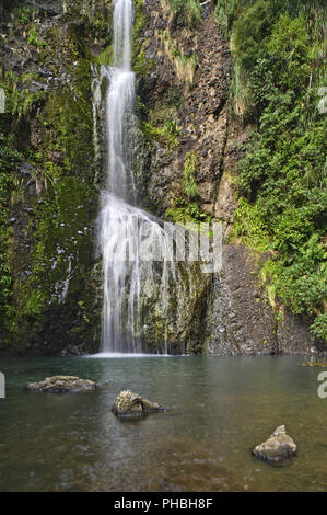 Kitekite Falls, Waitakere Ranges Regional Park, New Zealand Banque D'Images