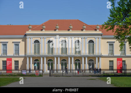 Neuer Fluegel, château de Charlottenburg, Spandauer Damm, Charlottenburg, Berlin, Deutschland Banque D'Images