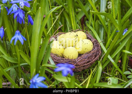 Oeufs de Pâques en jaune près de fleurs Banque D'Images