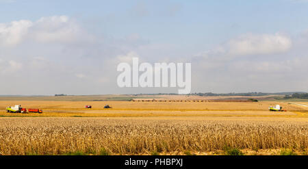 Deux moissonneuse-batteuse et le tracteur rouge et Machines Les machines la récolte du blé à l'été, le paysage Banque D'Images