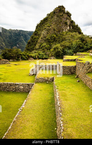 Jardin et terrasses agricoles dans le sanctuaire dans les ruines Inca de Machu Picchu. Pérou Banque D'Images
