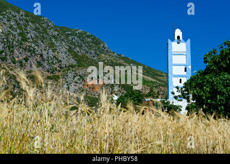 Champ de céréales avec minaret Banque D'Images