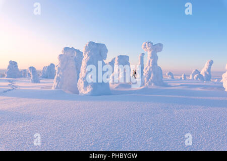 Parmi les arbres gelés randonneur, parc national de Riisitunturi, Alpes, France, Europe, Banque D'Images