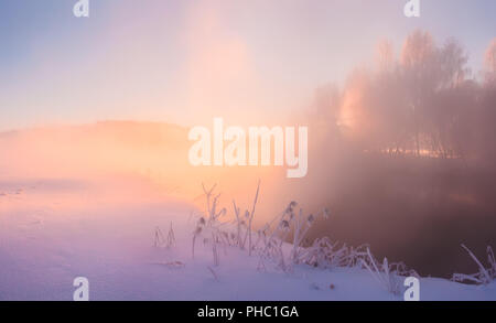 Matin d'hiver ensoleillé. Soleil brille à travers le brouillard à la neige. Noël vive lumière. Banque D'Images