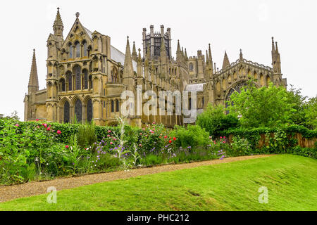 Voir l'historique de la cathédrale d'Ely en été, Ely, Cambridgeshire, Angleterre Banque D'Images