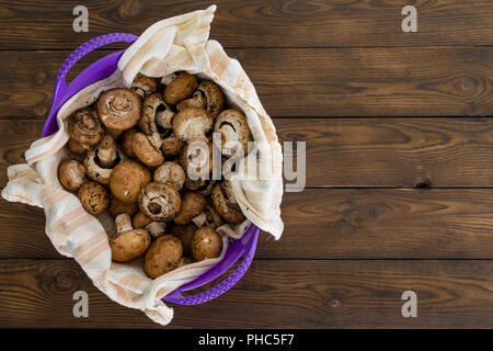 Crus frais et sain Bella Bébé champignons dans une cuvette bordée de pourpre avec un chiffon vu de passage sur une table en bois rustique avec copie espace Banque D'Images