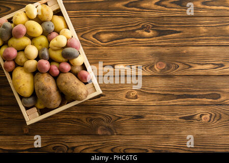 Les petites caisses en bois remplies de pommes fraîches entières de formats différents cultivars et sur une table en bois avec copie espace table en bois à un farme bio Banque D'Images