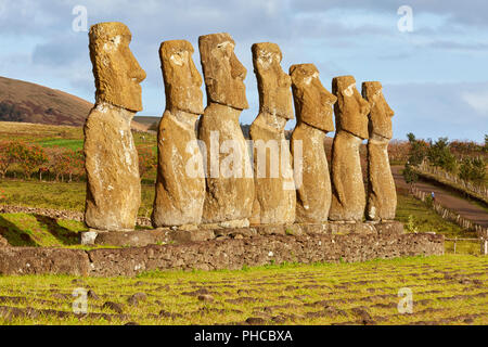 Ahu Akivi Moai têtes de pierre l'île de Pâques Rapa Nui Isla de Pascua Chili Banque D'Images