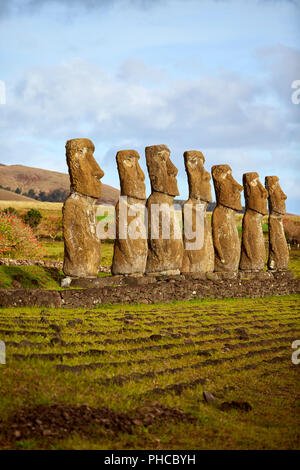 Ahu Akivi Moai têtes de pierre l'île de Pâques Rapa Nui Isla de Pascua Chili Banque D'Images