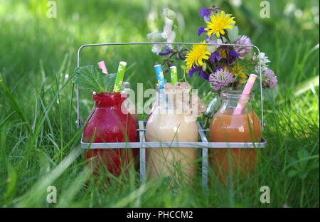 Divers smoothies aux fruits dans le ballon Banque D'Images