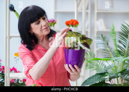 La fleuriste femme travaillant dans le magasin de fleur Banque D'Images