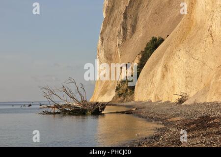 Scène à Moens Klint, au Danemark. Banque D'Images