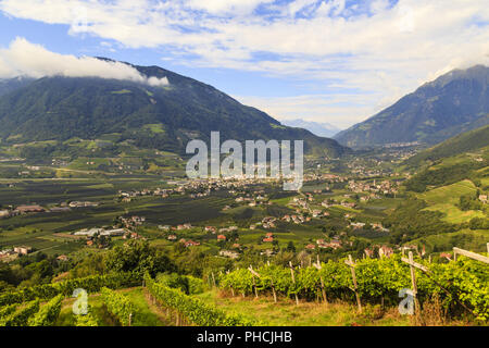 Vallée de l'Adige dans le Tyrol du Sud, près de Meran, Italie Banque D'Images