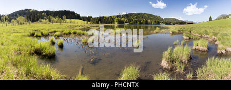 Vue grand angle jusqu'au lac en Bavière avec montagnes des Alpes Banque D'Images