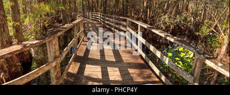 Chemin de promenade au marais tire-bouchon sanctuaire dans Naples Banque D'Images